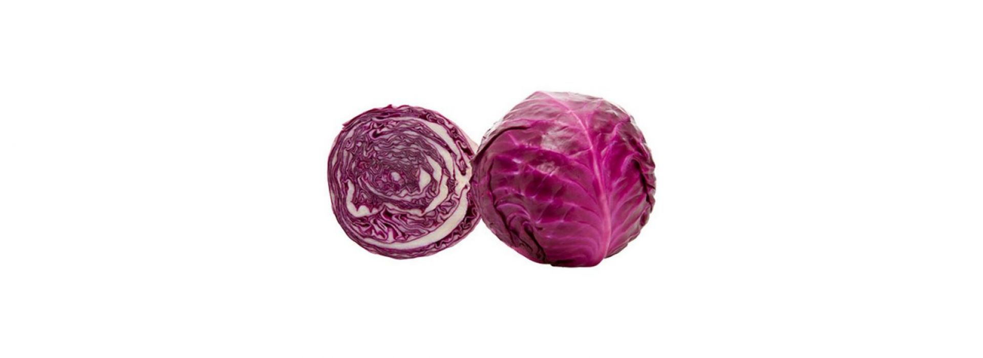 Baby red Cabbage 