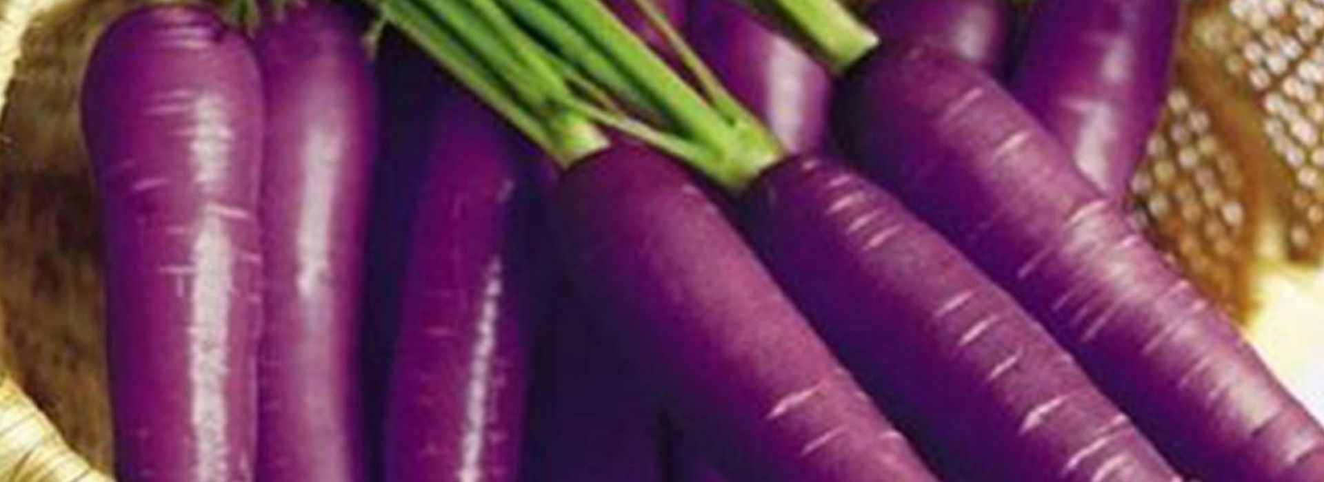 Carrots Purple