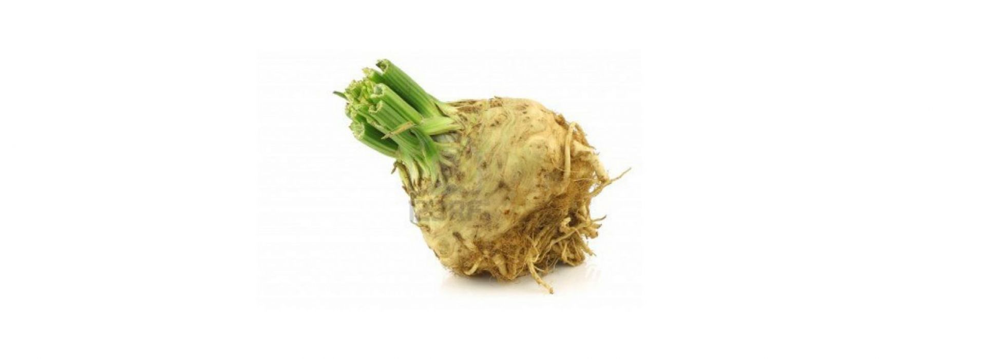 Celery Root