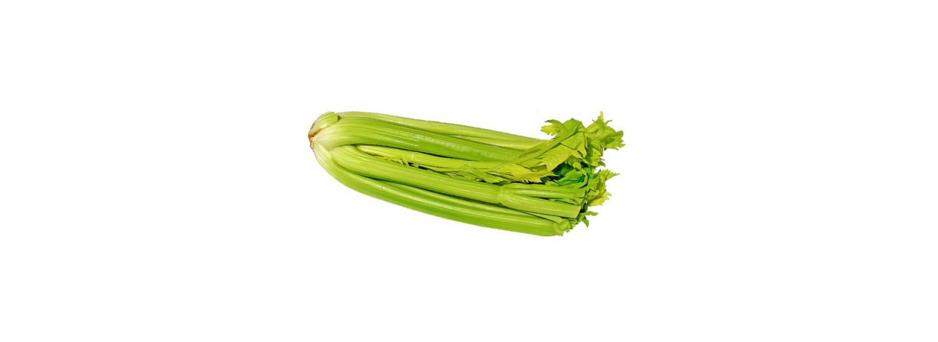 Celery Thai