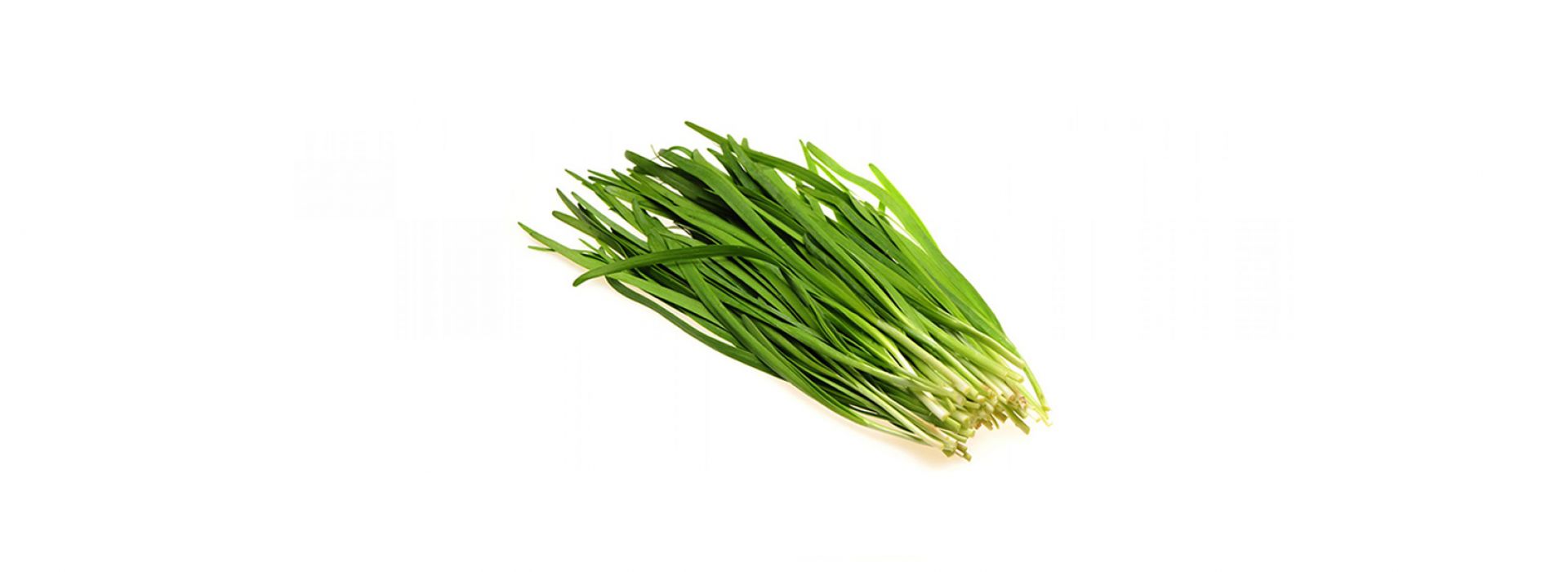Chinese chive Leaf