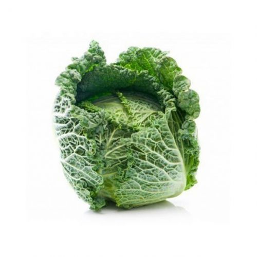 Cabbage Savoy