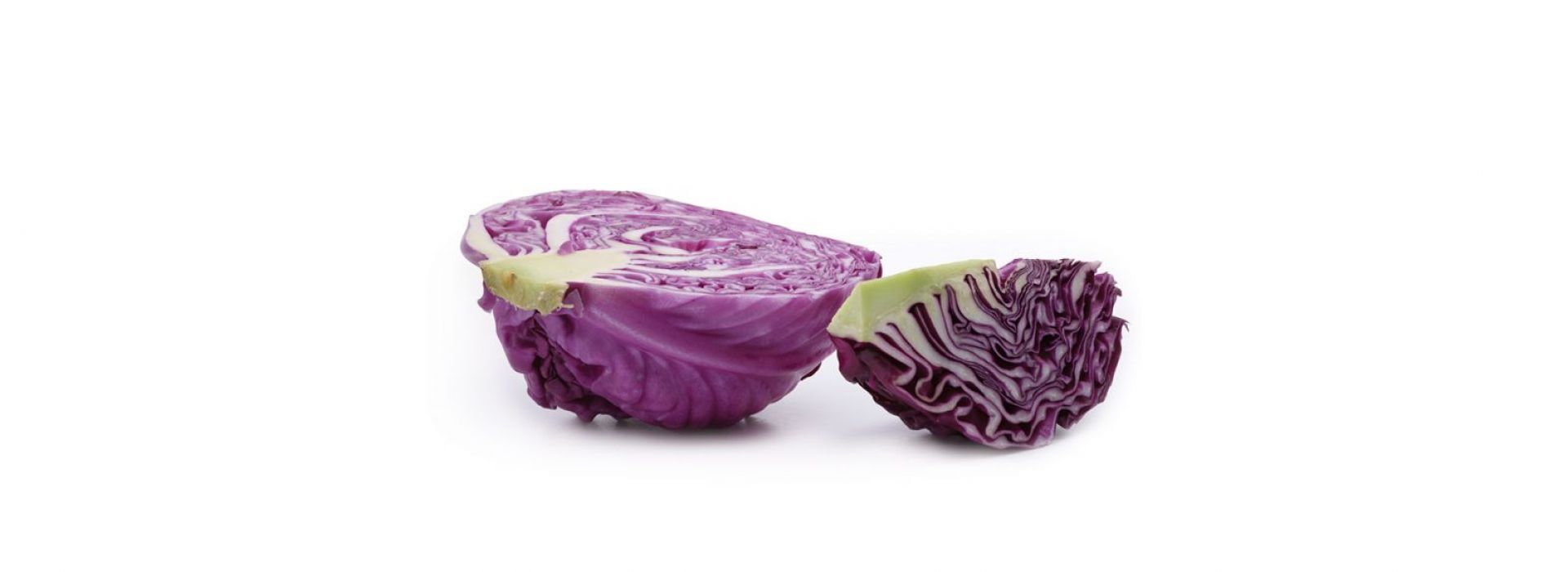Baby red Cabbage 