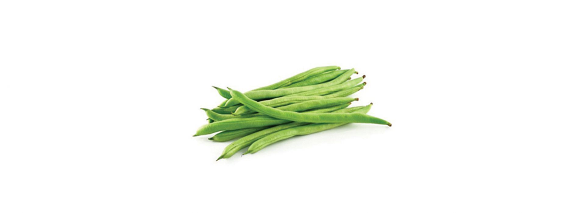 Beans Haricot