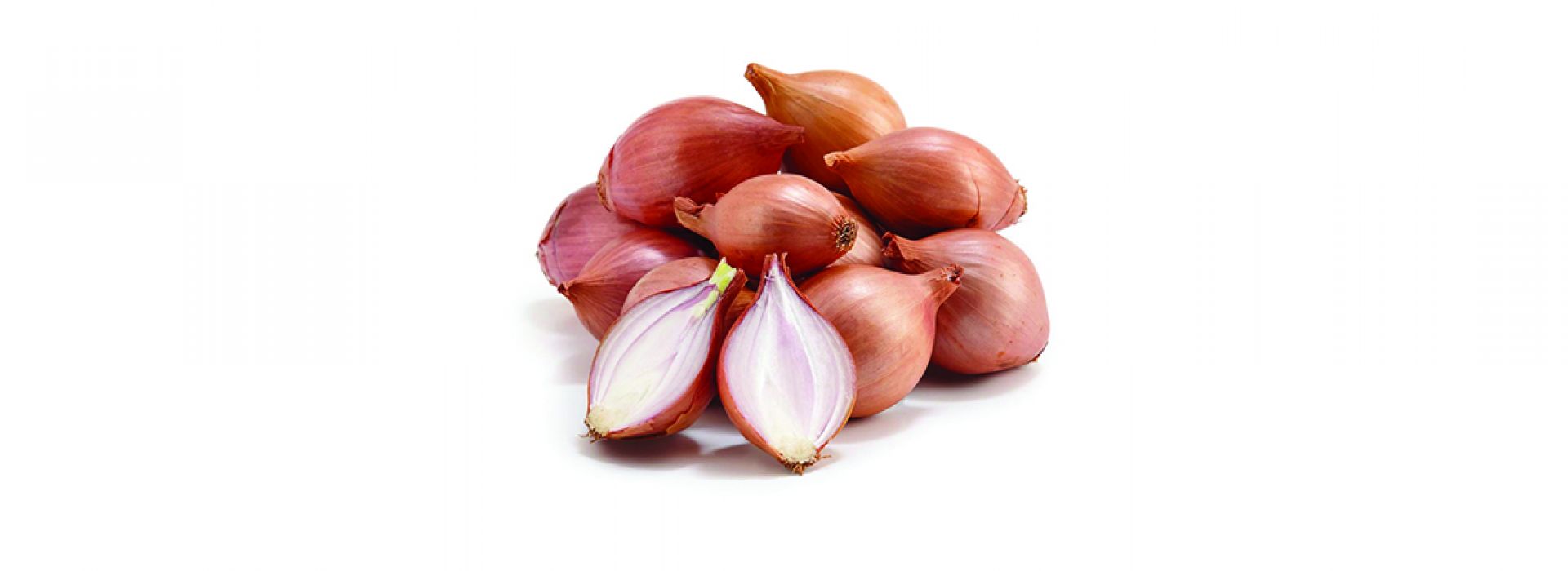 Onion Shallots