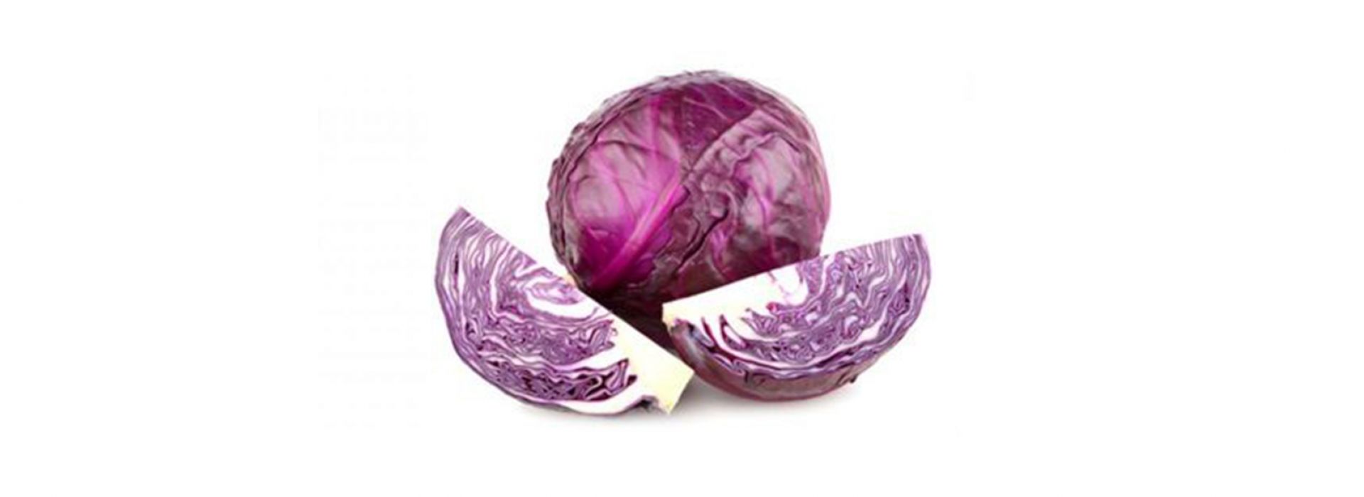 Sprout Red Cabbage