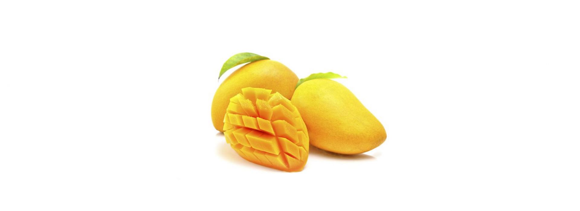 Mango (Ewis-Zebdia-Taymour)
