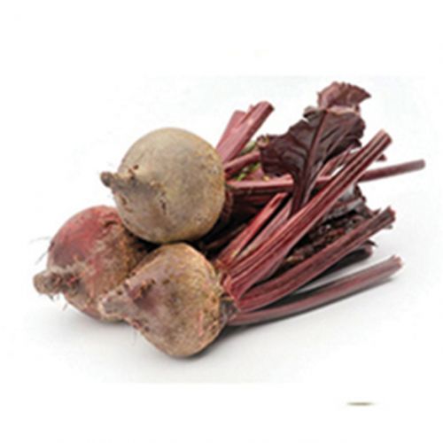 Baby Red Beetroot 