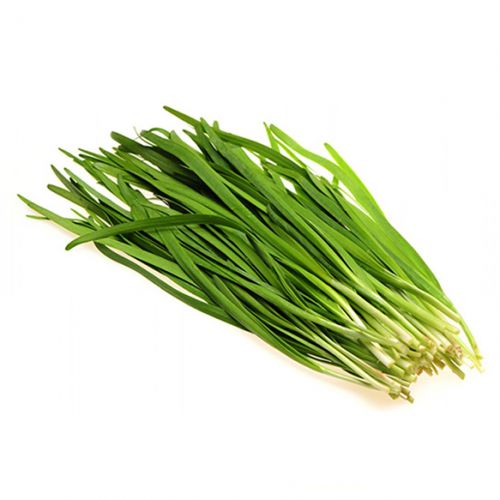 Chinese chive Leaf